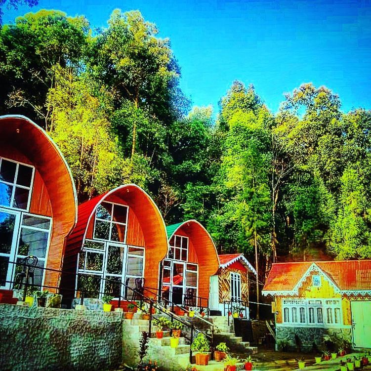 New Bloom Homestay Kurseong Esterno foto