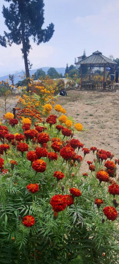 New Bloom Homestay Kurseong Esterno foto