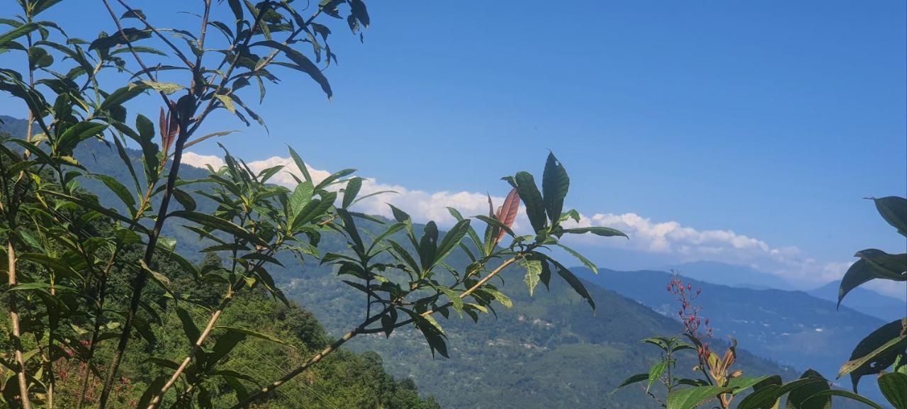 New Bloom Homestay Kurseong Esterno foto