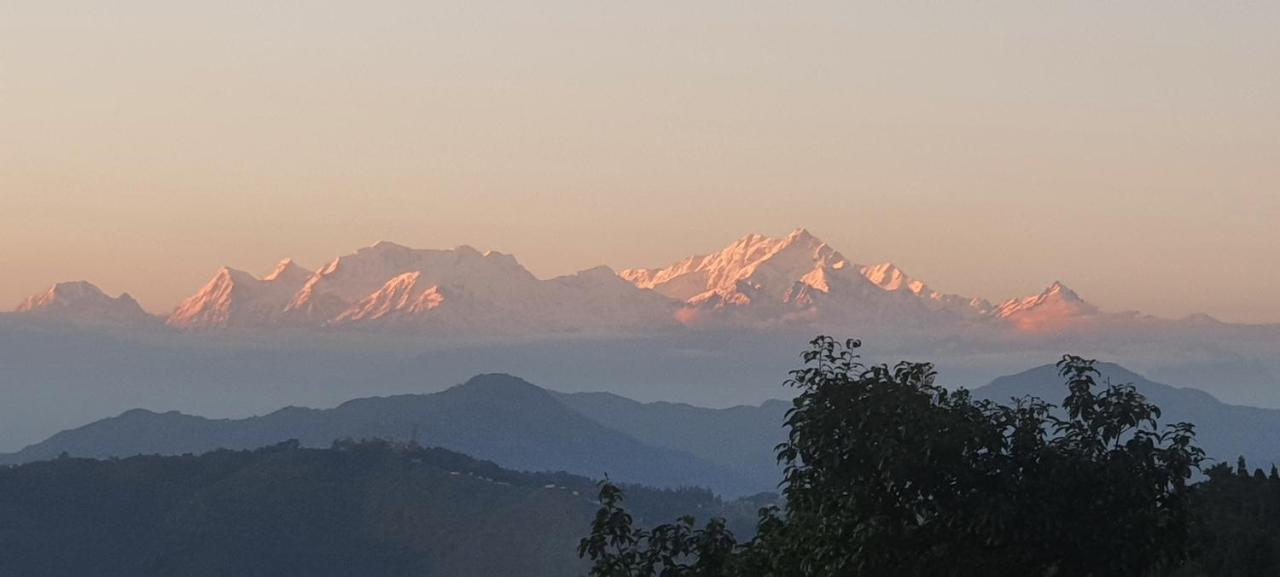 New Bloom Homestay Kurseong Esterno foto